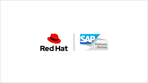 Redhat Enterprise Linux for SAP VDC(Unlimited vm) Premium (1yr upd/sup) ESD Redhat Enterprise Linux for SAP VDC(Unlimited vm) Premium (1yr upd/sup) ESD
